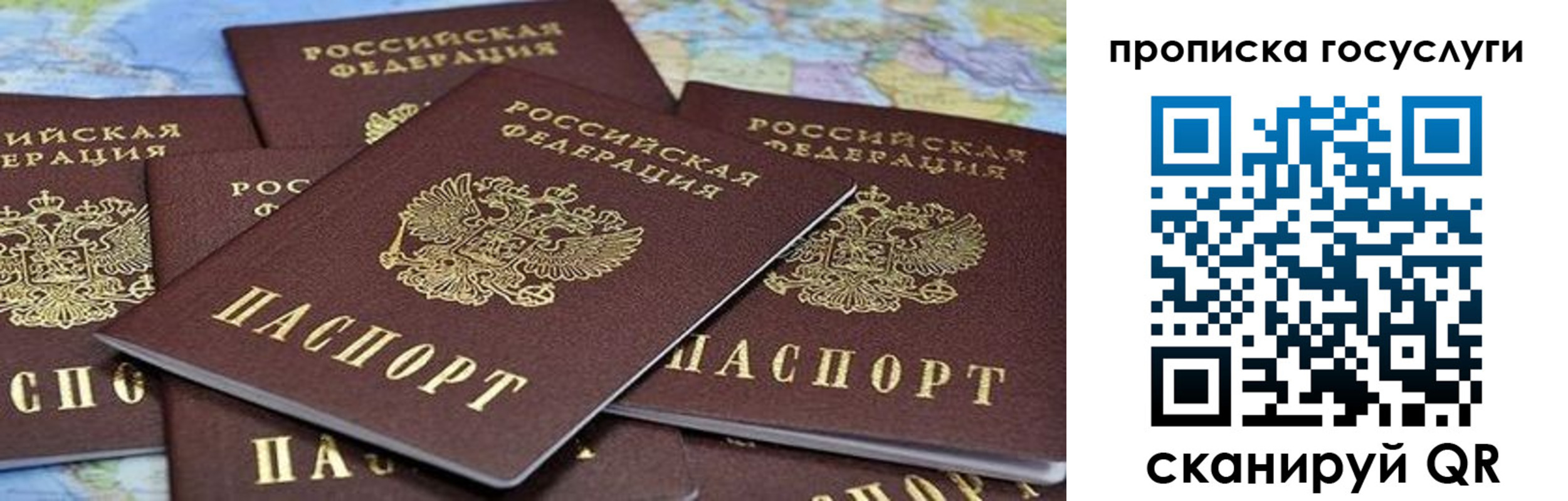 пропишу в квартире в Сольцах